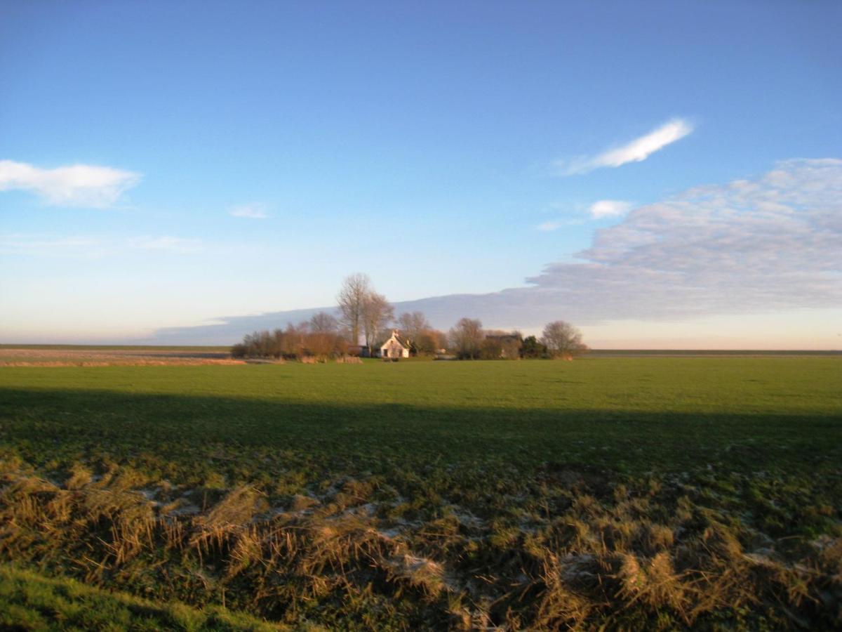 Haus Kormoran Am Lauwersmeer 175 Anjum Екстер'єр фото